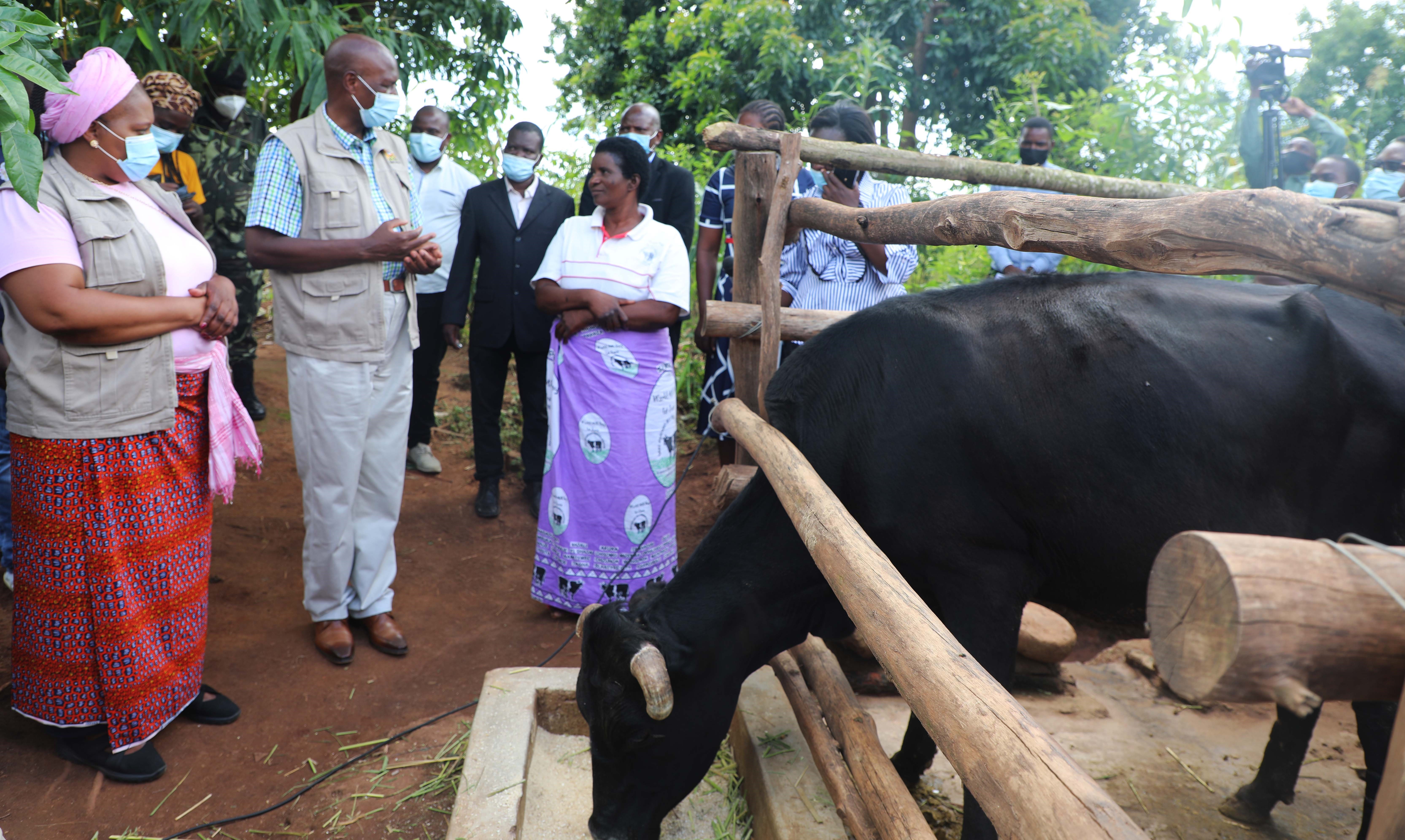 SHMPA increases milk production through matching grant 